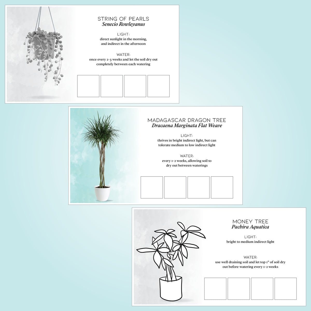 Plant Care Cards Set