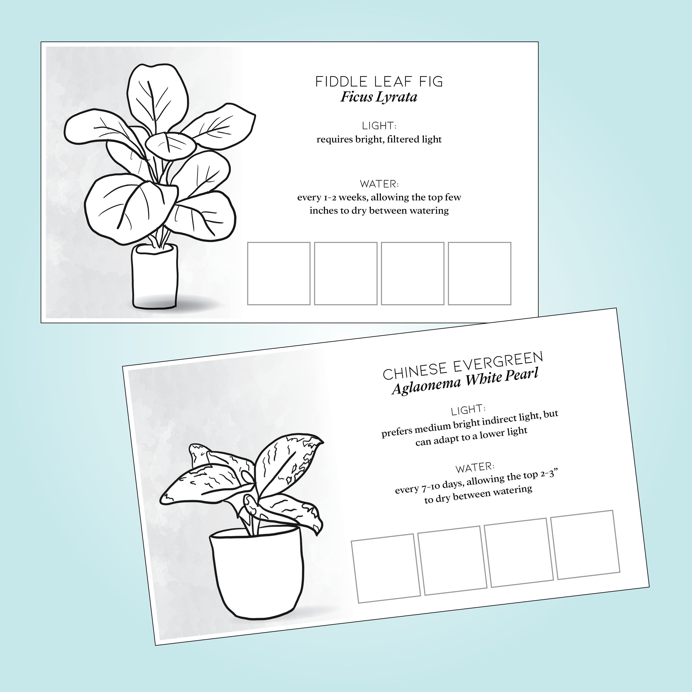 house plant care cards Plant Care Cards Set